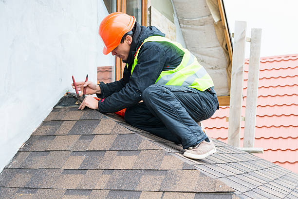 Best Roof Gutter Cleaning  in Clarksville, TN